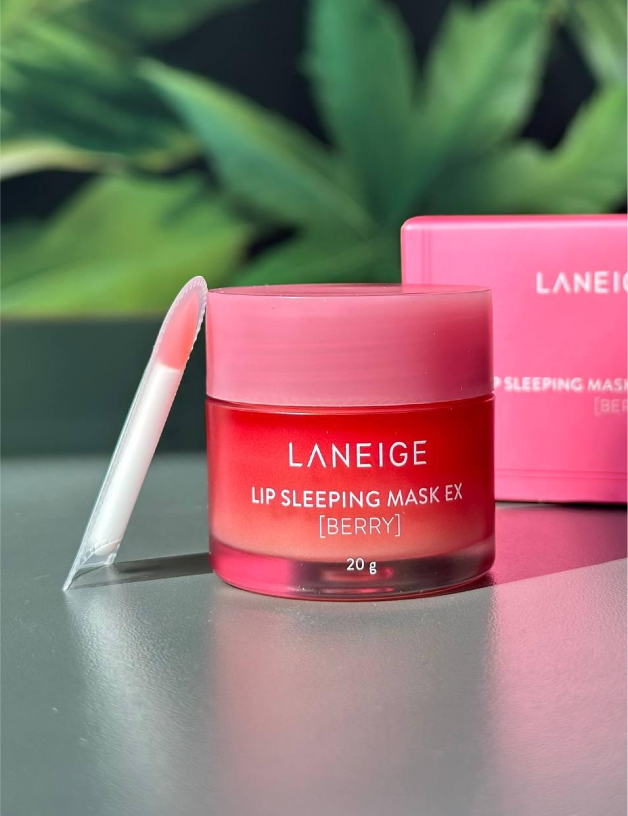 Laneige Lip Sleeping Mask EX Berry  Skinch.store